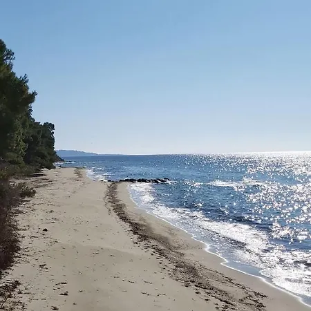 Pine Forest & Sea Retreat - 2 Bedroom Daire Siviri